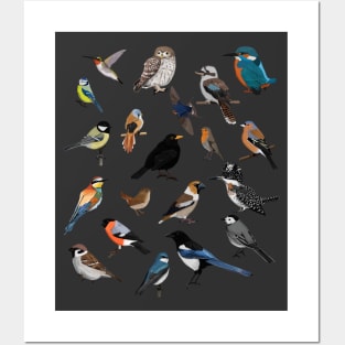 Colorful Garden Birds Bird Art Birdlover Birdwatcher Animal Posters and Art